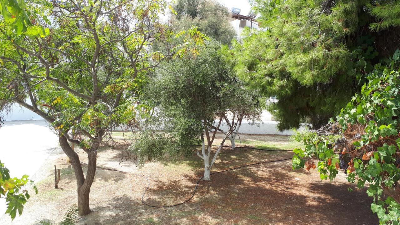 Chrisanthi Studios Agios Prokopios  Exterior foto